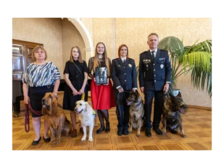 Záchranářská anketa: Nominujte psí hrdiny