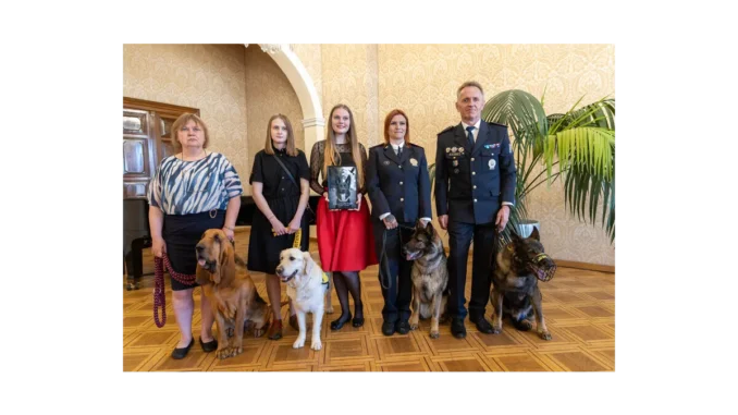 Záchranářská anketa: Nominujte psí hrdiny