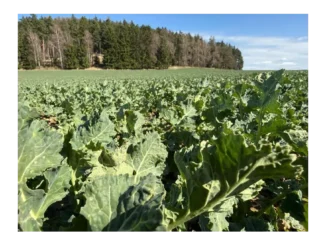 Zvýšená efektivita v českém zemědělství 2026