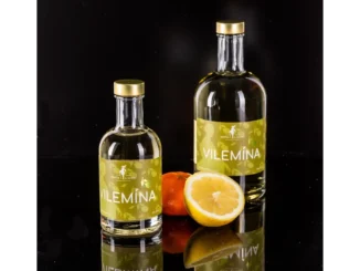 Objevte Vilemína na Zámku Zelená hora