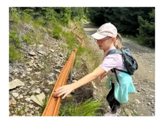 Na Dolní Moravě: Nová kuličkodráha a stezka kůrovce